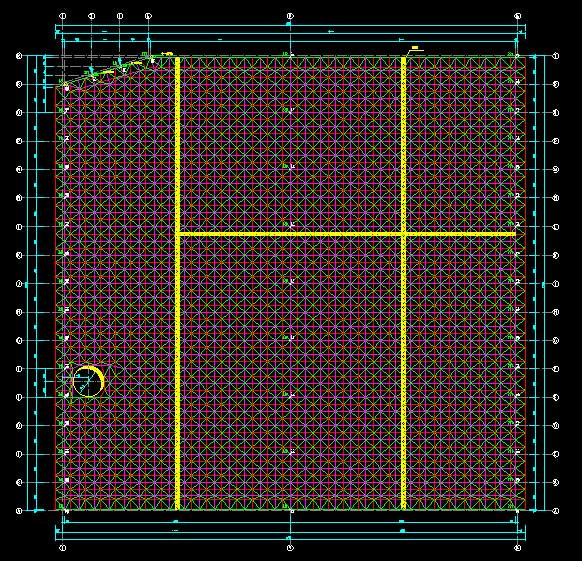 楚雄东营金岭化工大王煤棚网架